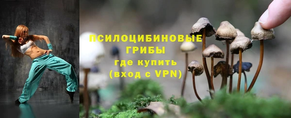 крисы Осташков