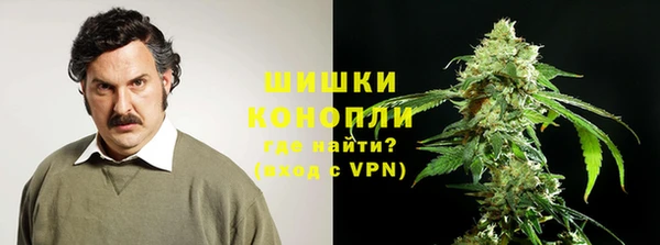 крисы Осташков