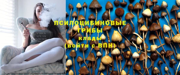 крисы Осташков