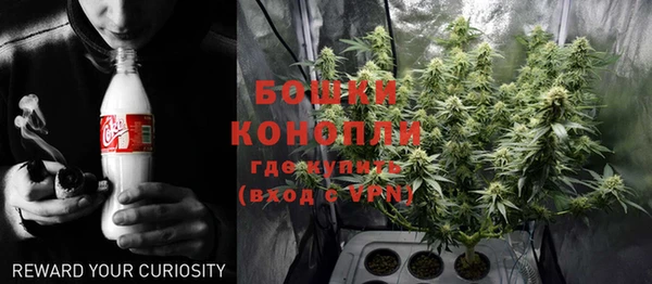 крисы Осташков