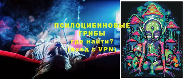 крисы Осташков