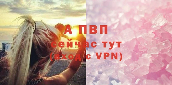 крисы Осташков