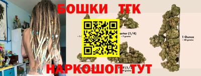 индика Азнакаево