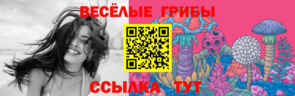 Псилоцибиновые грибы мицелий Орск
