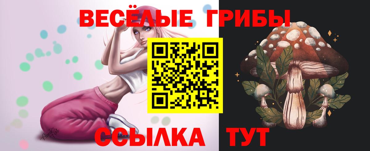 Галлюциногенные грибы Magic Shrooms  Вход с VPN  Орск 