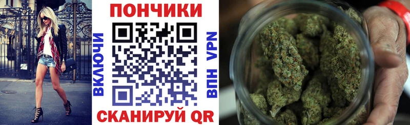 где купить наркотик  мега маркетплейс  Бошки марихуана Ganja  Орск 