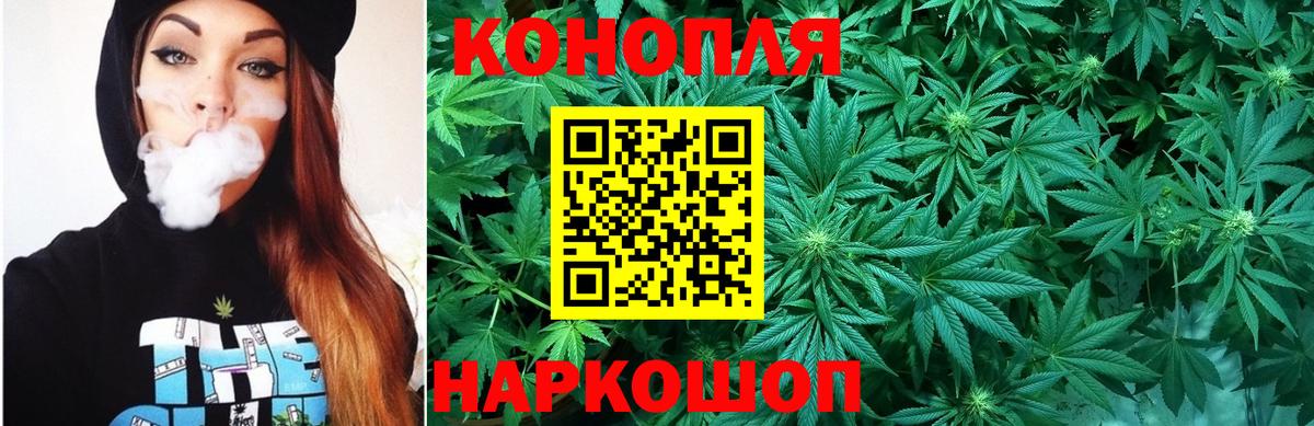 Конопля план  Бошки Шишки план  Вход с VPN  Орск 